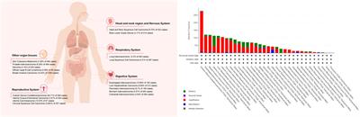 Functional and clinical characteristics of focal adhesion kinases in cancer progression